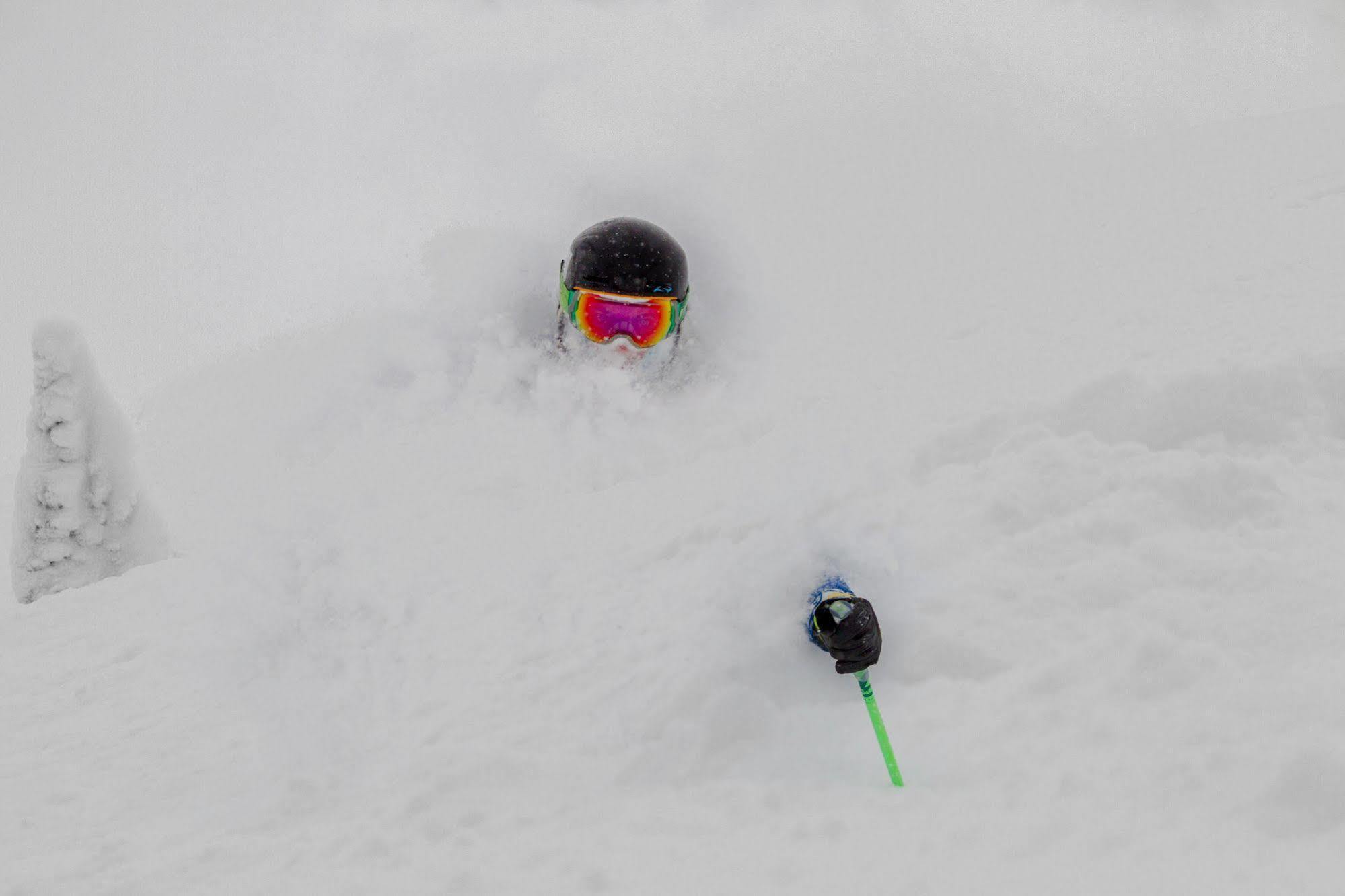 Teewinot Lodge By Grand Targhee Resort Alta Bagian luar foto